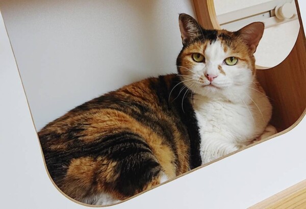 久しぶりのリブちゃん☆