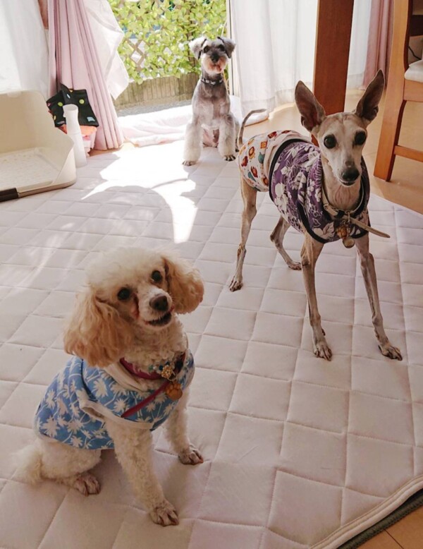 濃い1泊ナッツ君・レアちゃん☆