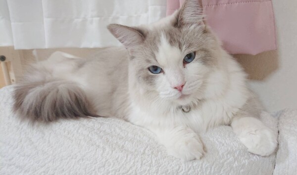 １１日間の里帰り紅君☆