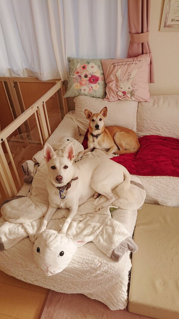 貸切コメ君・むぎちゃん☆