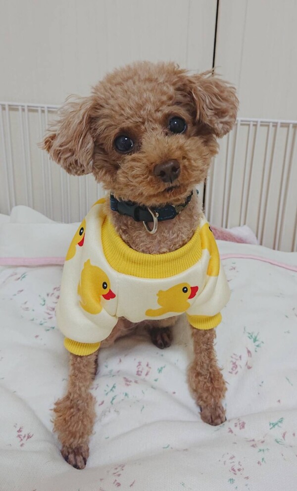 猫部屋バーニー君☆