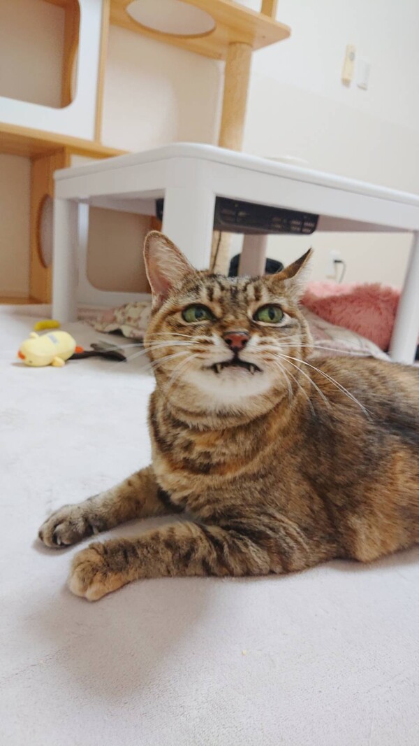 癒やし系まめちゃん☆