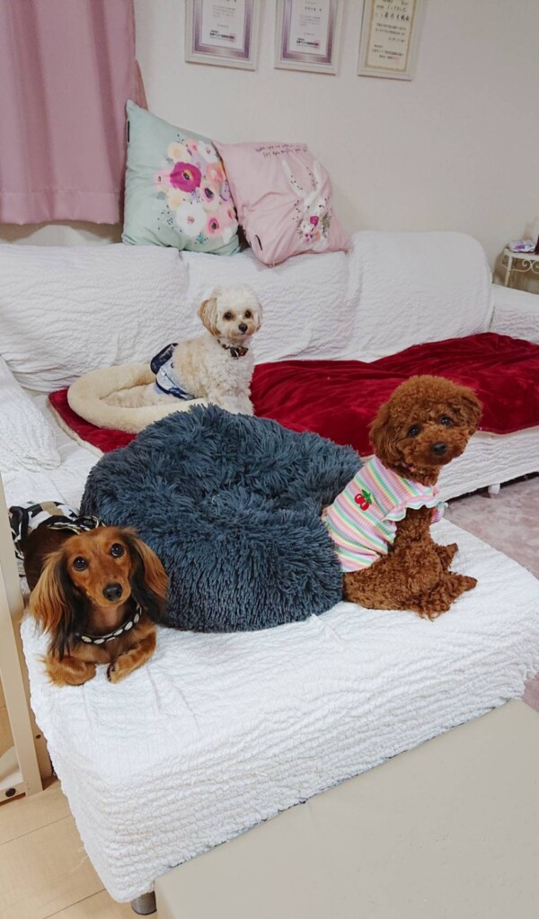 リピートのモカちゃん・リアム君・マウムちゃん☆