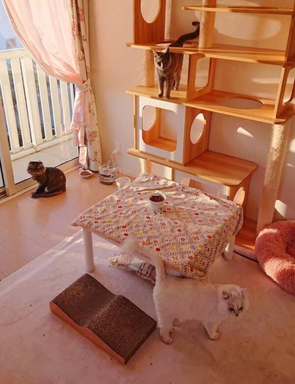 ガン君・メンディーちゃん・おとちゃん☆