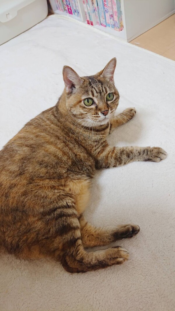 3週間ぶりまめちゃん☆