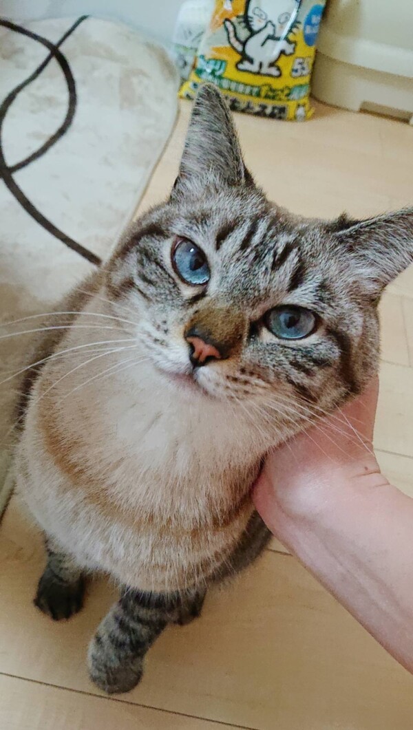 初ブログのベルちゃん☆