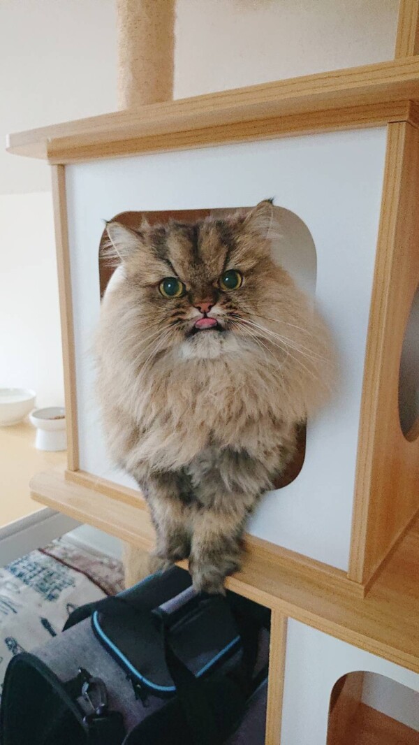 食べるようになったぐう君☆