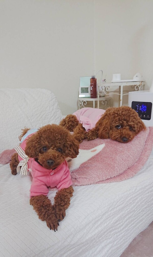 マウムちゃん＆ラニちゃん☆