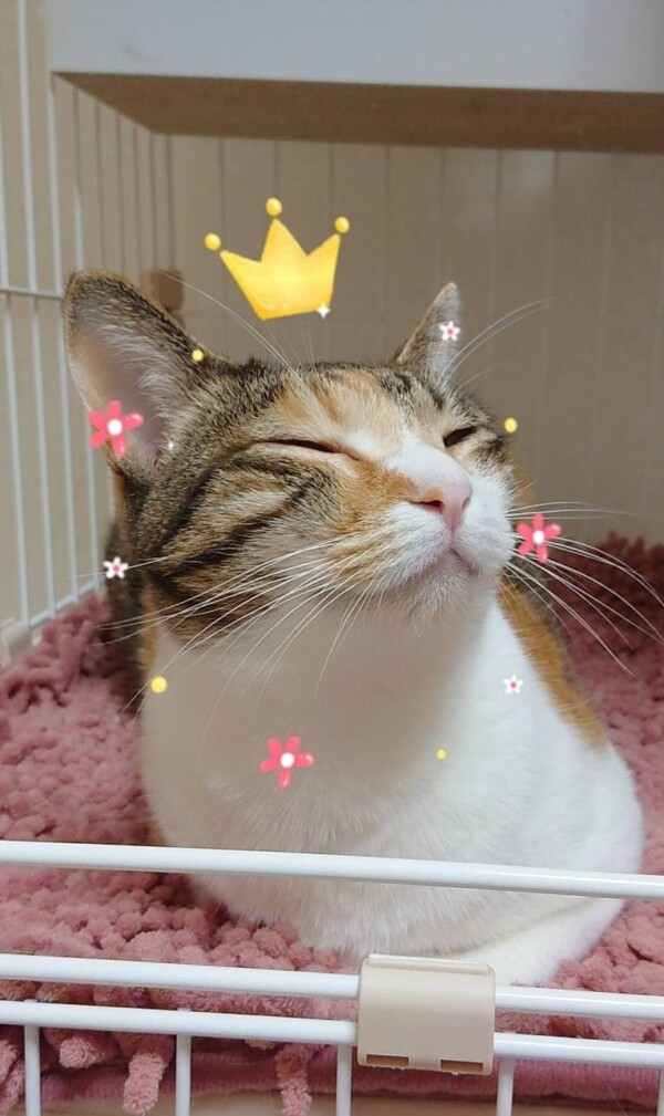 あさりちゃん・くるみちゃん・だいず君☆(中編)