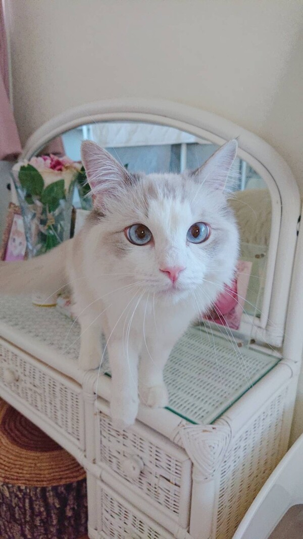 里帰り嵐牙君☆