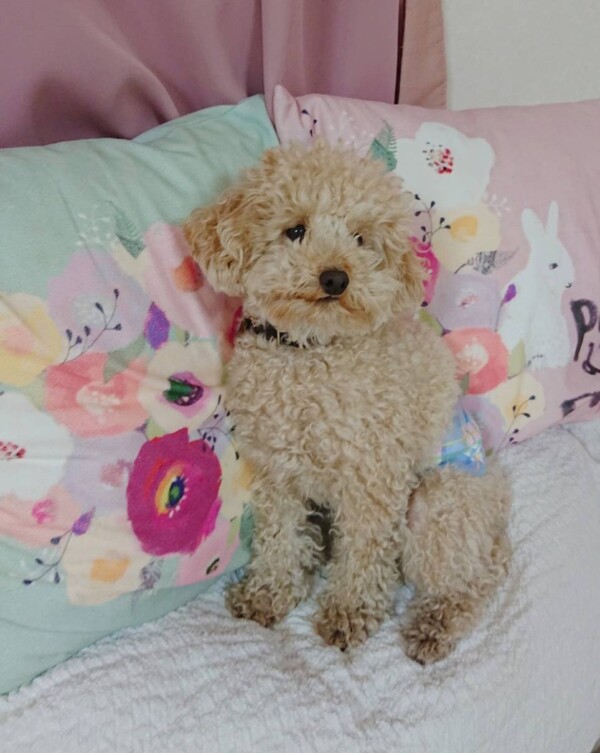 １月のマメ君☆