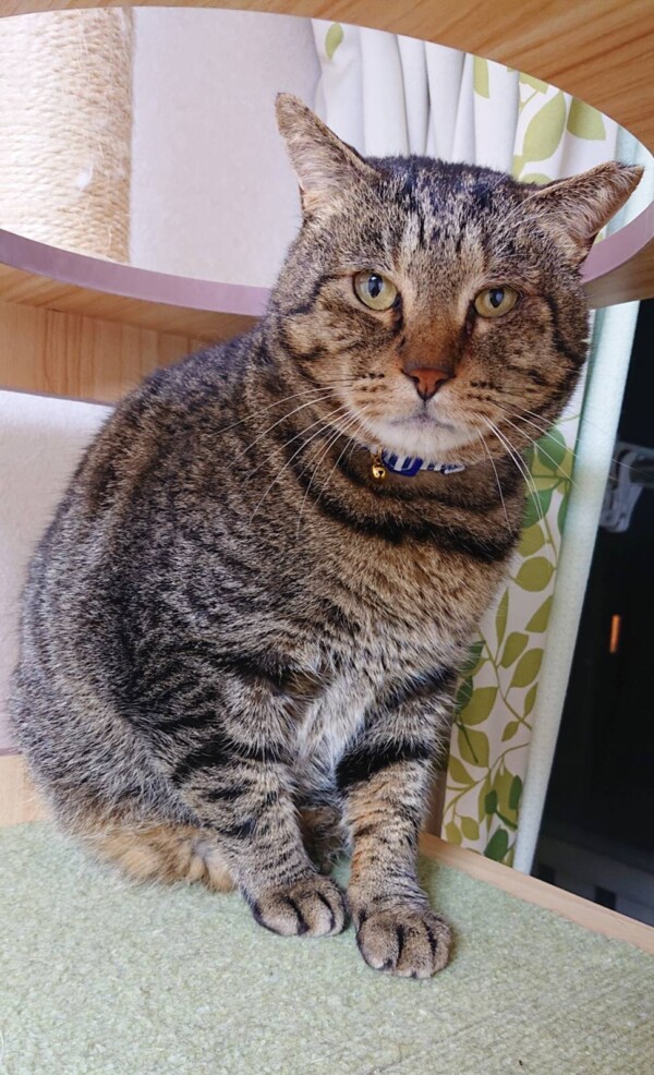 あさりちゃん・くるみちゃん・だいず君☆（後編）