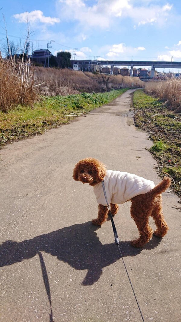 今回は訪問シッターむぎちゃん☆