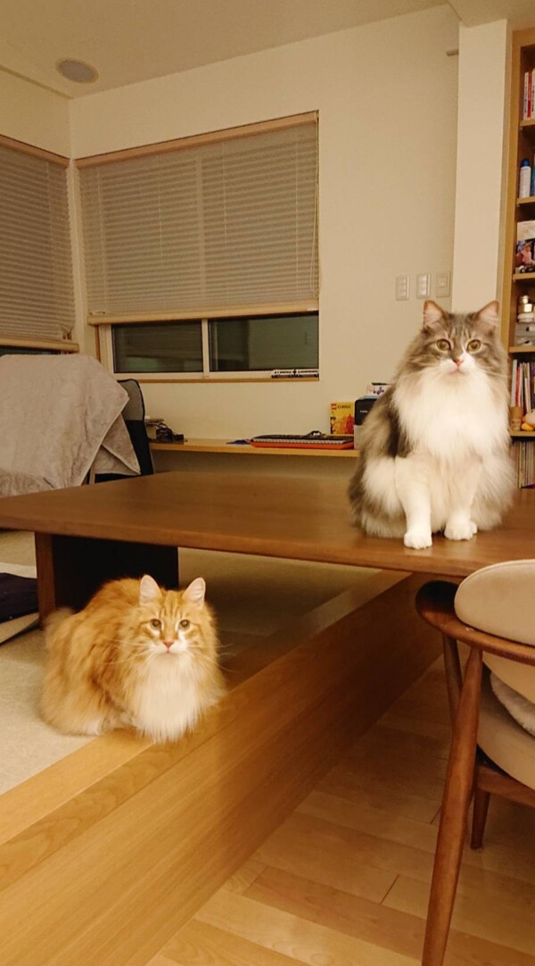 正反対のアレックス君・フェリックス君☆