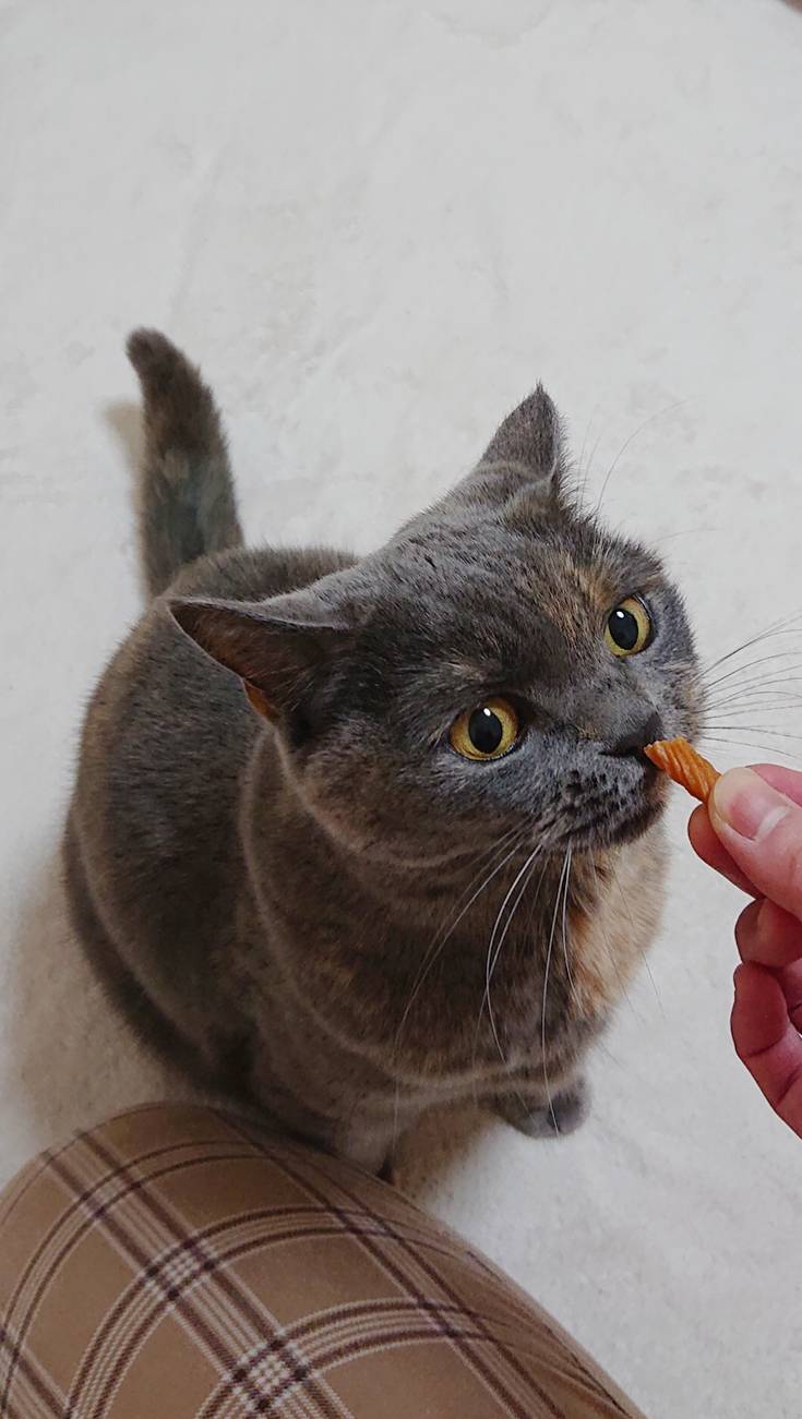 1週間グルーシェニカちゃん☆