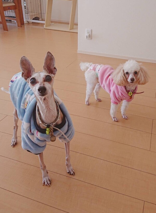 変わらないナッツ君・変わっていくレアちゃん☆