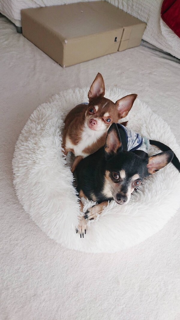 ぴったり仲良しりく君・れん君☆