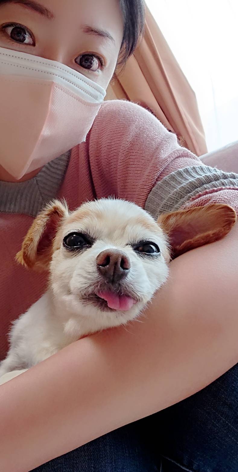 チワックスおおじろう君☆