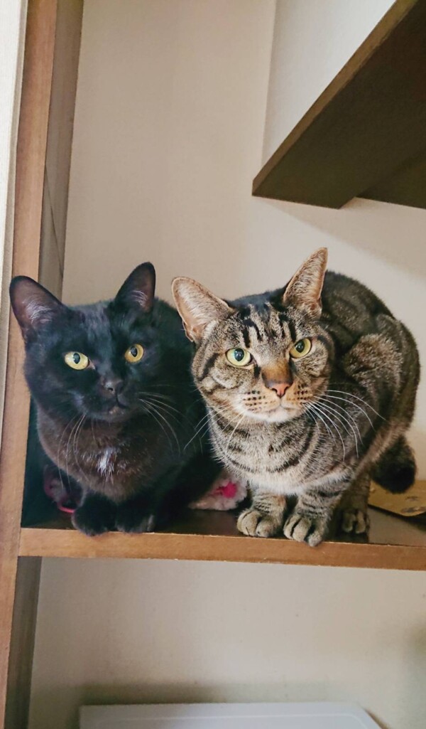 ベルちゃん・クロちゃん・ドンちゃん・ラミちゃん☆