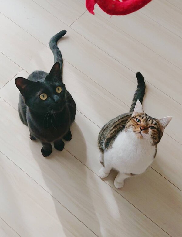 今回は一緒のサカモト君・なのちゃん☆