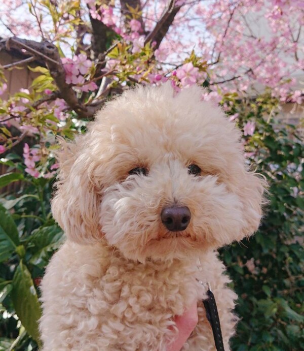 平和なお泊りマメ君☆