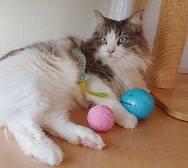 リラックスのエマちゃん☆