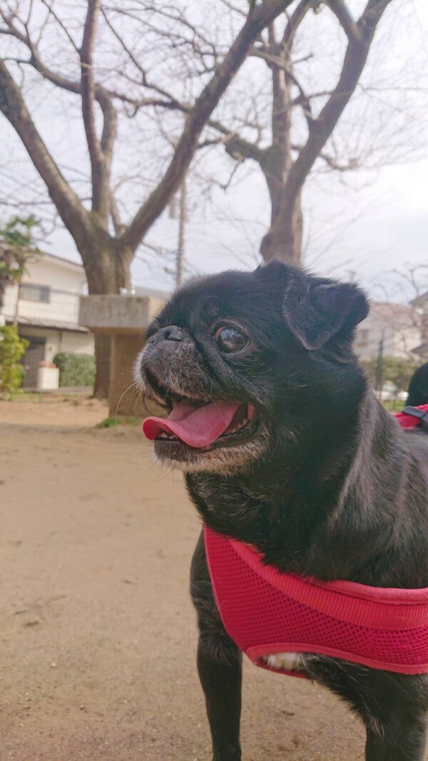 悠々自適はなちゃん☆