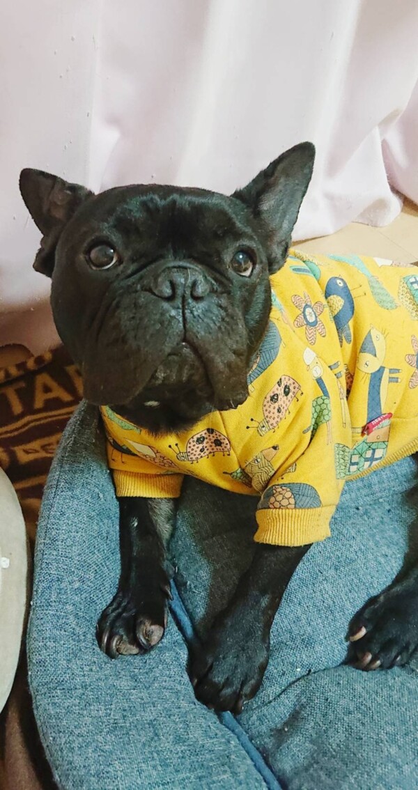 すっかり慣れたヤマト君☆