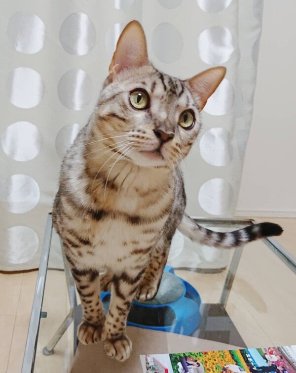 今回も雨ロゼ君・メルちゃん☆