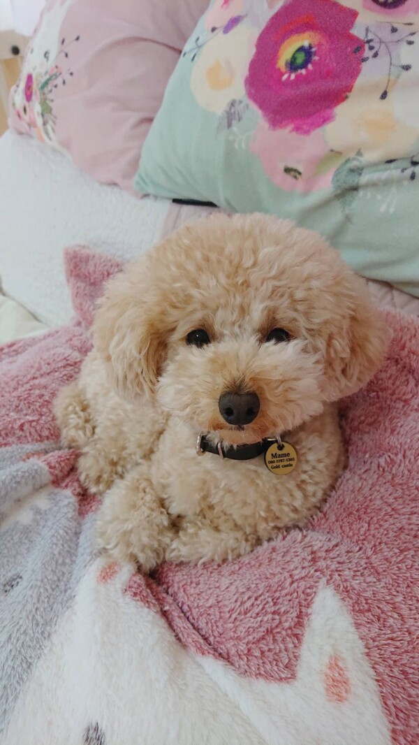 １０日後のマメ君☆