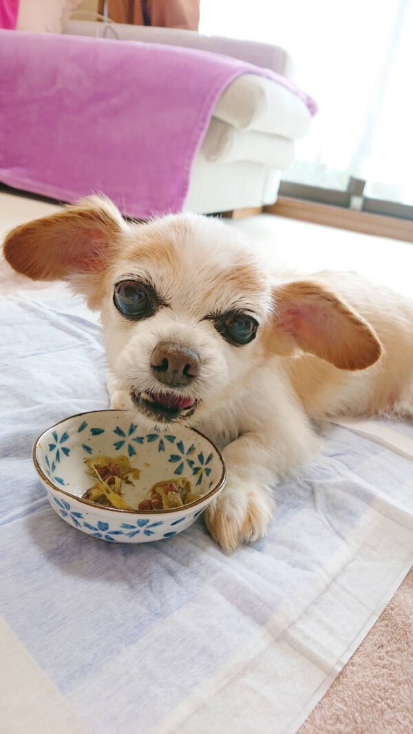 奇跡のおおじろう君☆