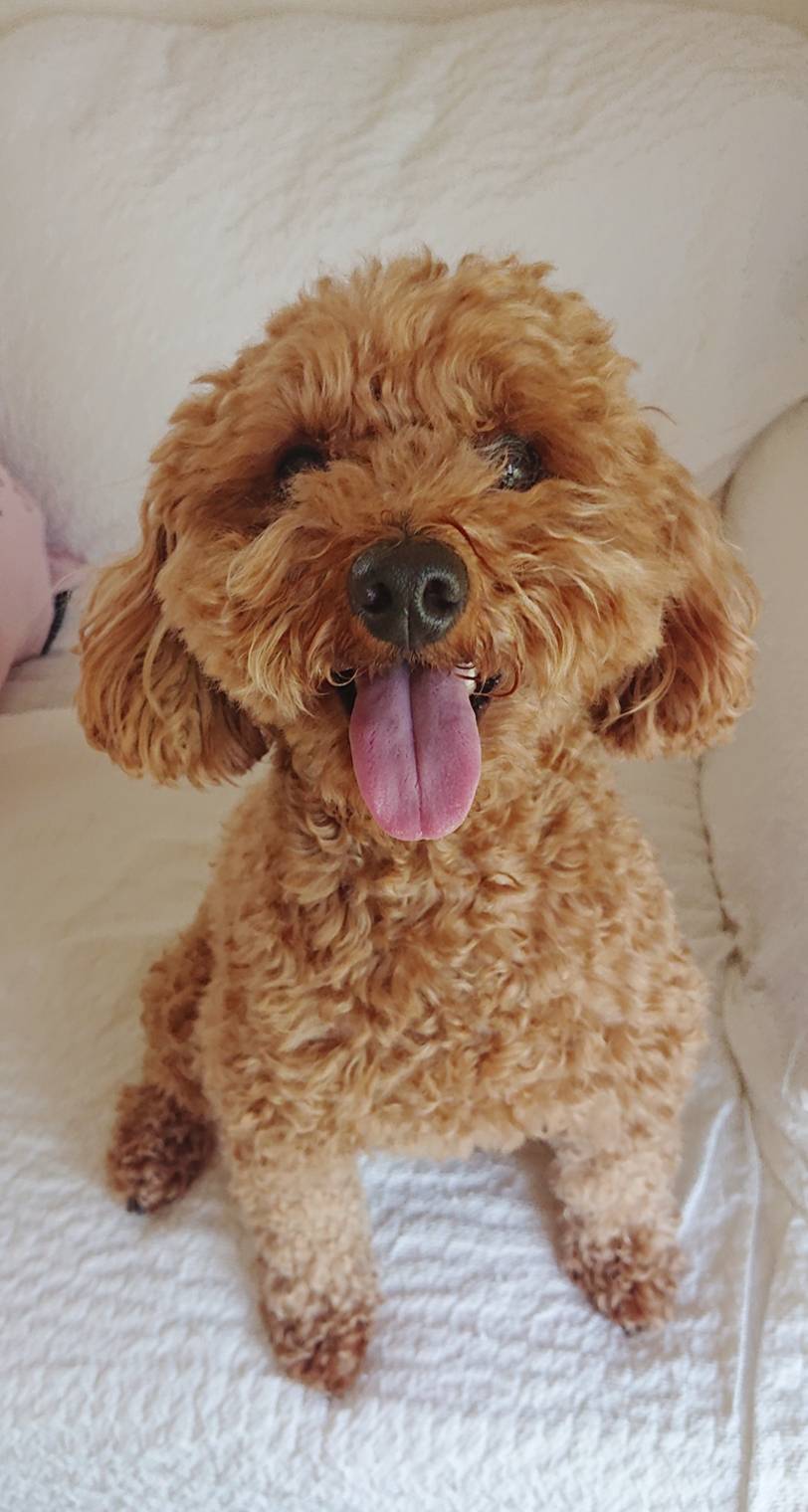 リピートのクルちゃん☆