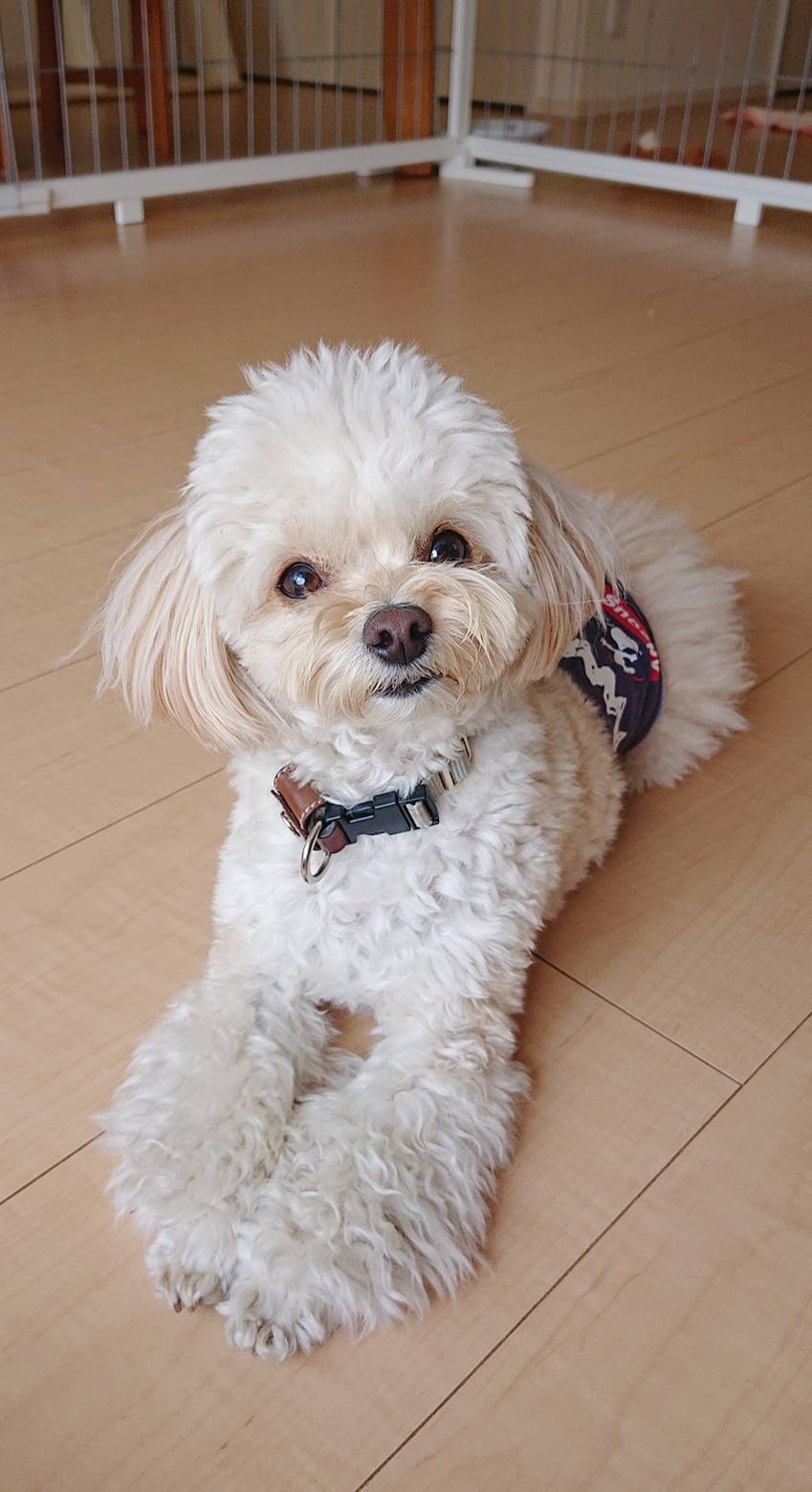 日帰りリアム君☆