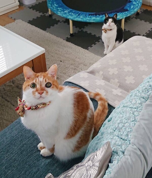 調子良さそうなクウ君・カイ君☆