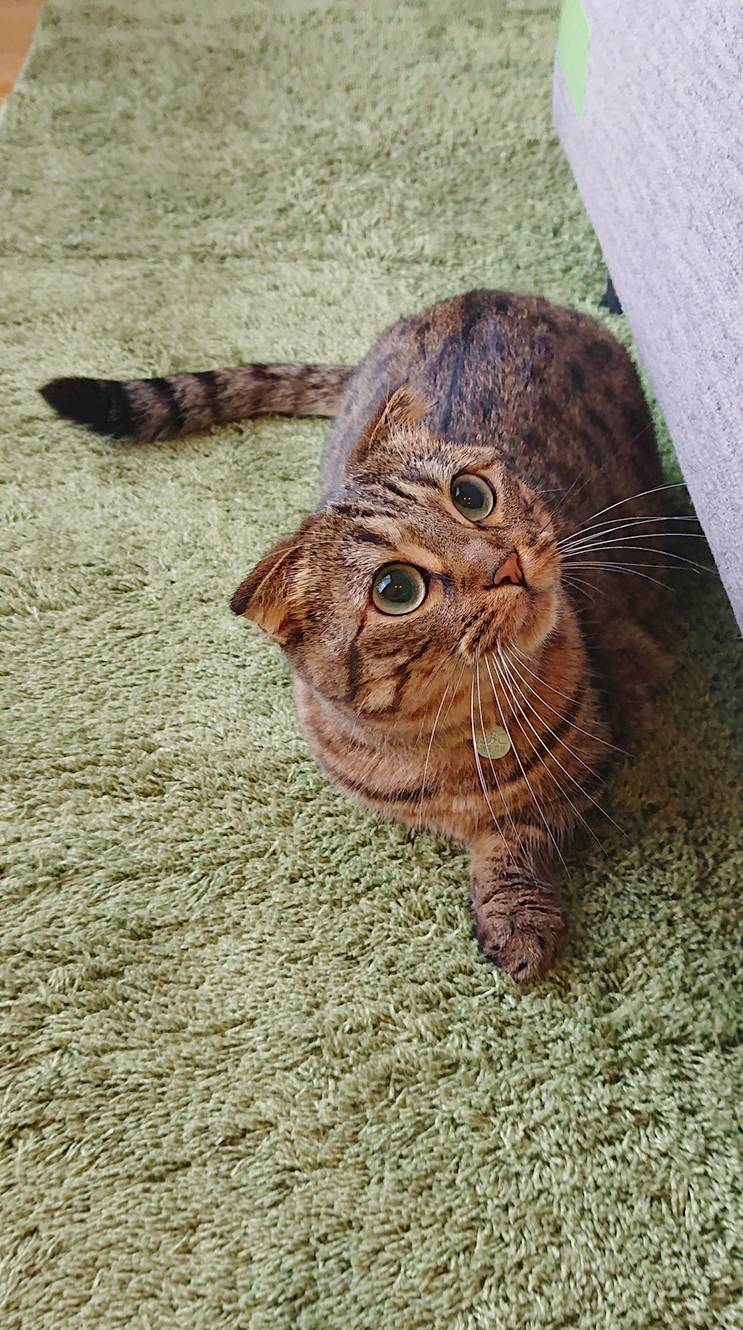 キュート全開たみこちゃん☆