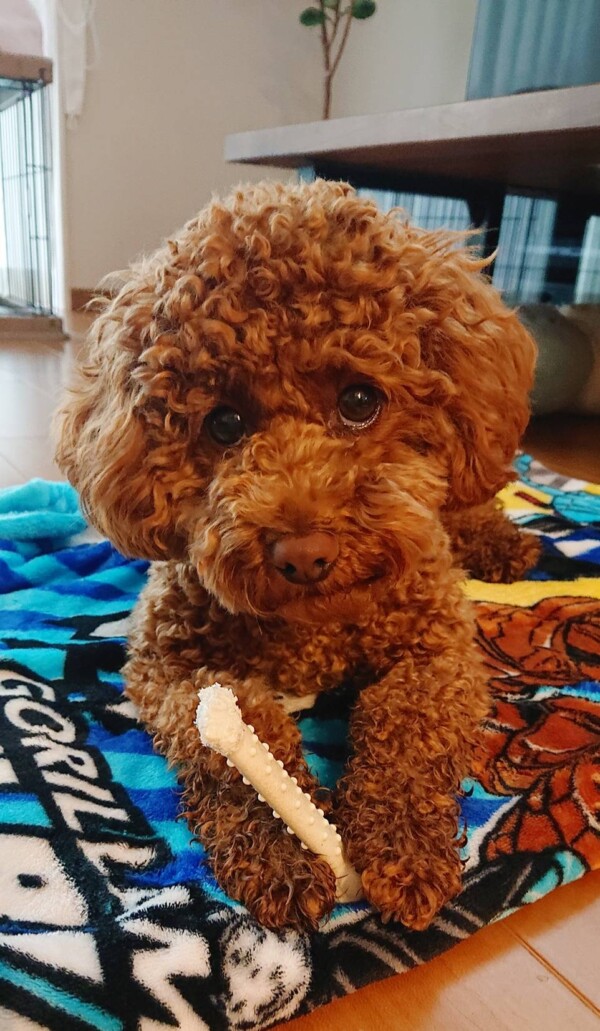 １週間後むぎちゃん☆