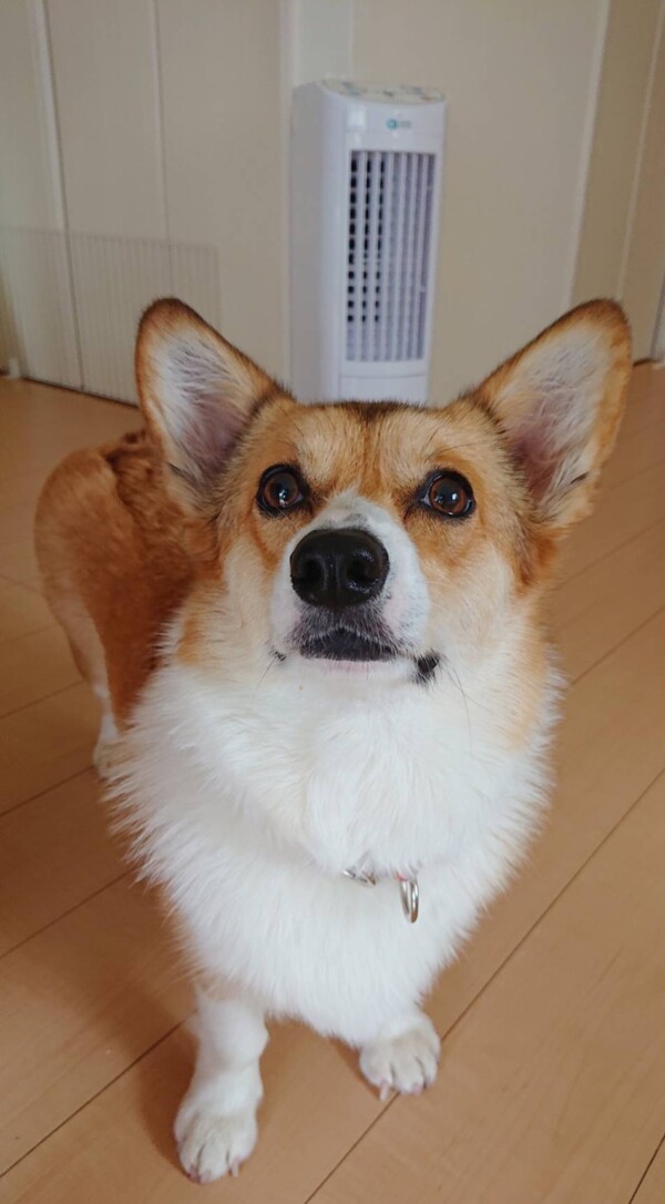 初ホテルむうちゃん☆