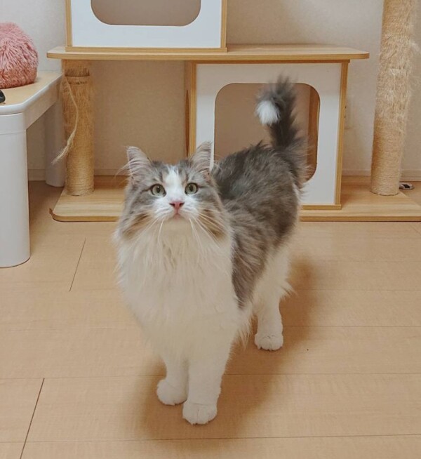 甘えん坊エマちゃん☆