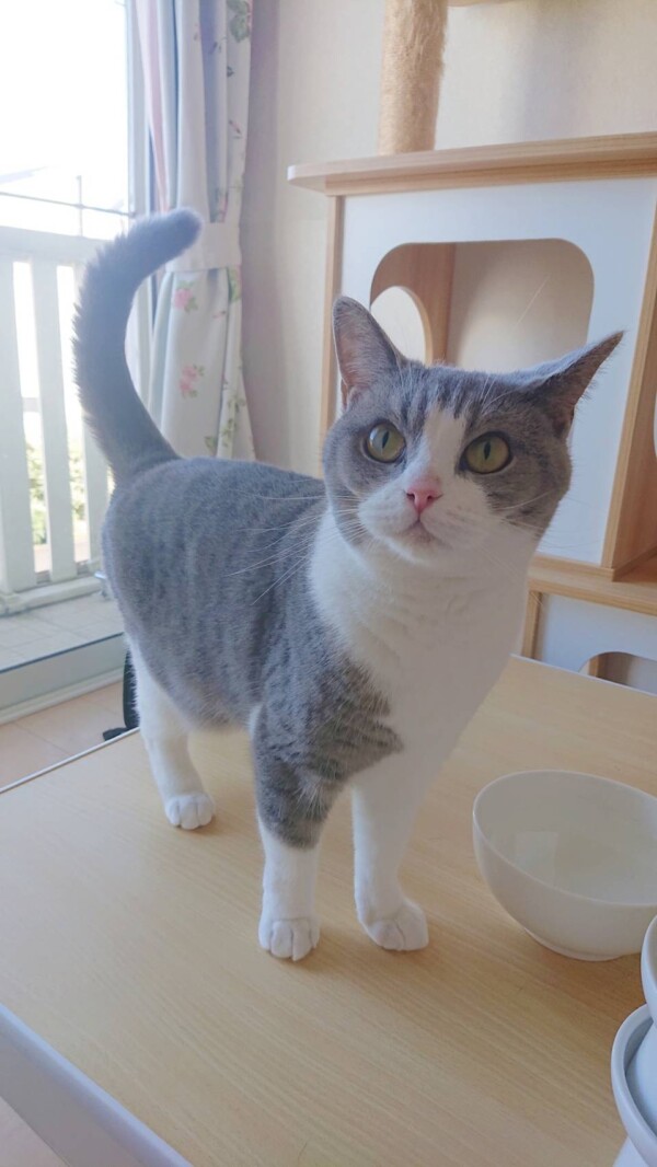 今年の夏もラムネちゃん☆