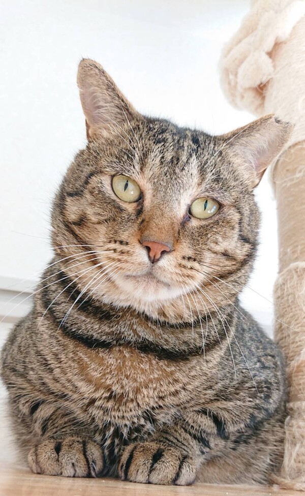 ４９日間あさりちゃん・くるみちゃん・だいず君☆③