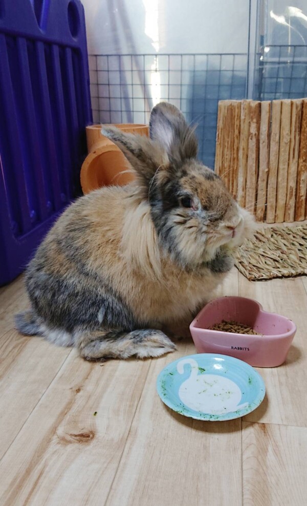 リピートなっちゃん☆