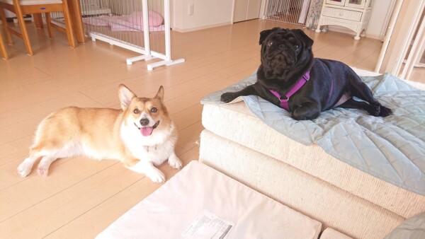 もずくちゃん＆むぅちゃん☆