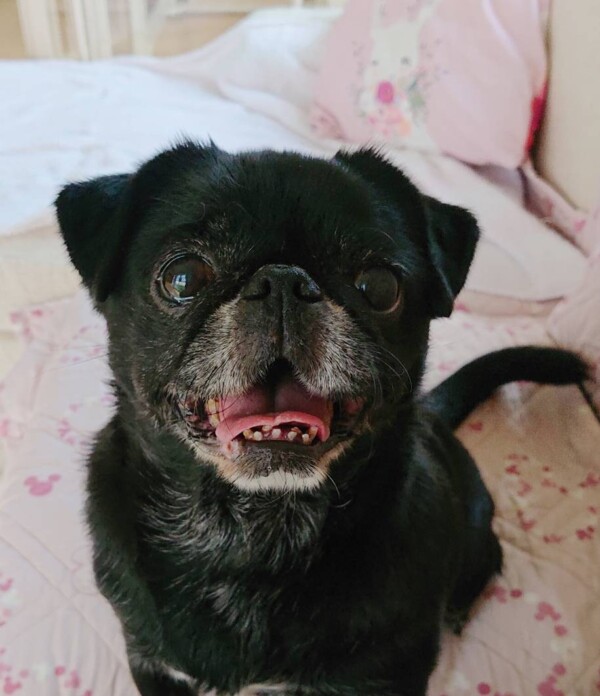 元気いっぱいはなちゃん☆