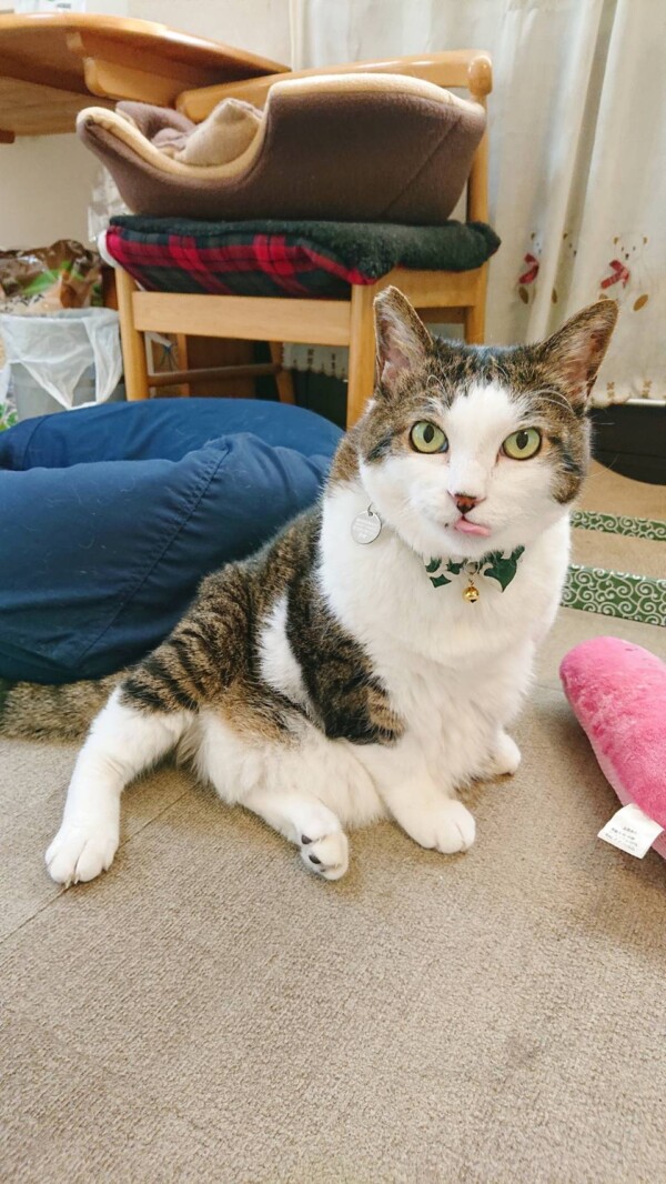 お久しぶりこのちゃん☆