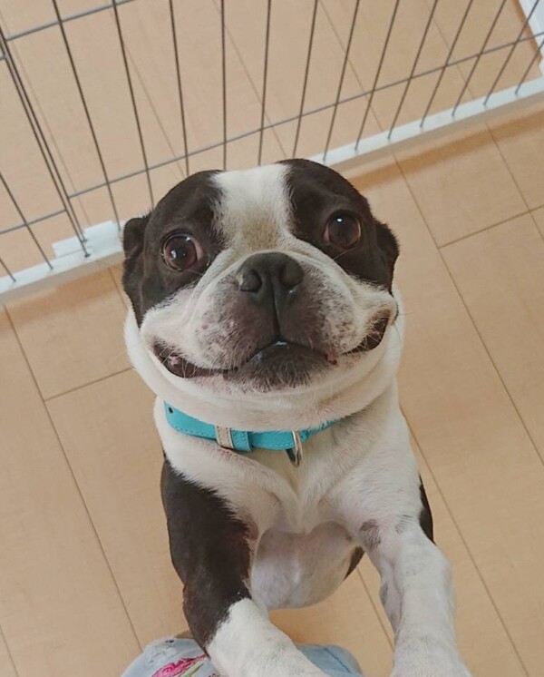 落ち着いて来たふう太君☆