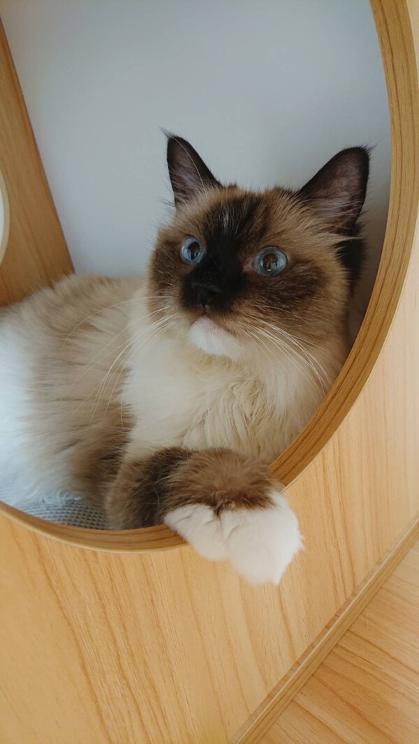 ８日間アシェル君・グレースちゃん☆