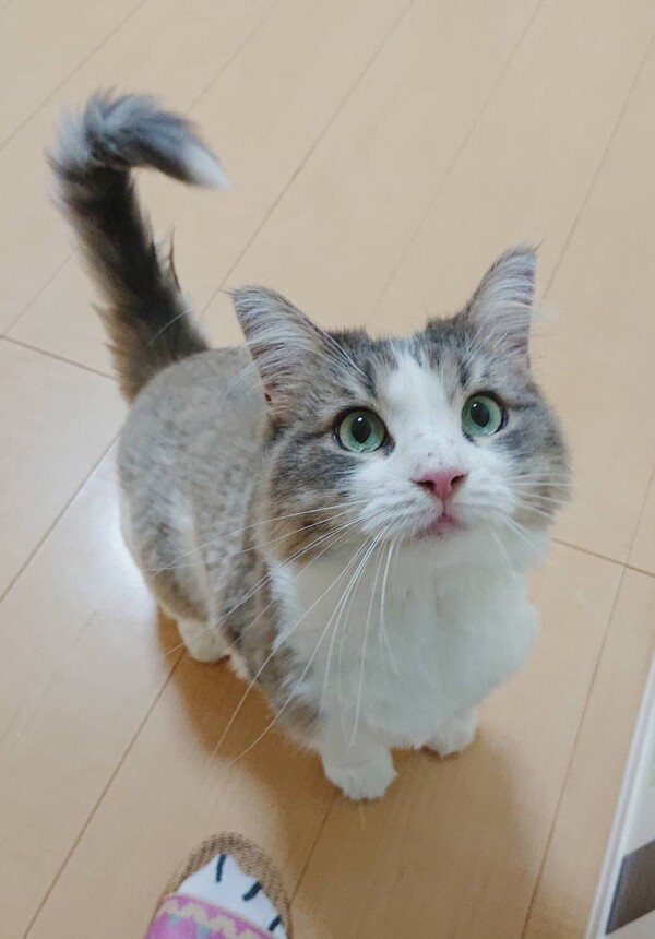 いつも通りエマちゃん☆