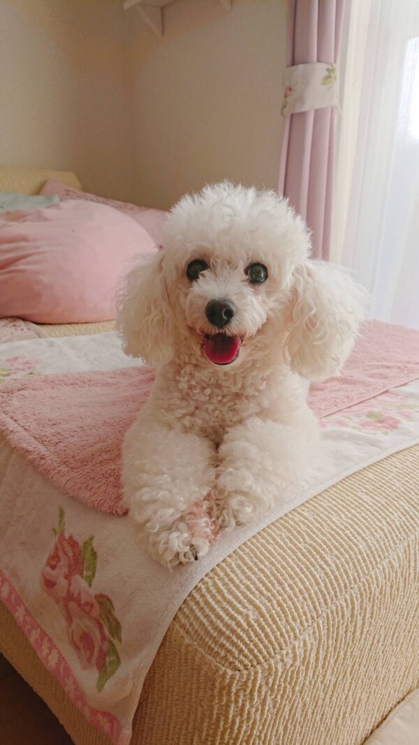 リピートの雪子ちゃん☆