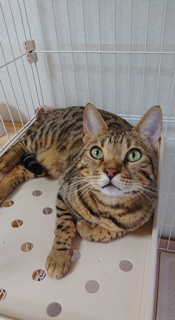 リピートの翔太君☆