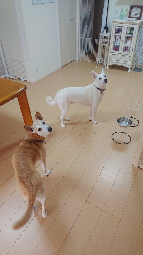 ３回目の貸切コメ君・むぎちゃん☆